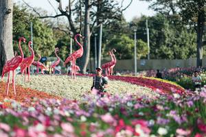 BIB: 
                            <button type="button" onclick="openModal(27344302)" class="btn btn-primary btn-sm float-right btn-popup" data-toggle="modal" data-target=".modal-high-quality">
                        <i class="fas fa-shopping-cart"></i> Add to Cart
                    </button>
                                            <button type="button" onclick="isThisMe(27344302, true)" class="btn btn-success btn-sm float-right btn-popup btn-isme hidden" data-toggle="tooltip" data-placement="bottom" title="นี่คือรูปของคุณใช่ไหม คลิกที่นี่เพื่อเอาเข้าอัลบั้ม">
                        <i class="fas fa-plus"></i> Add to album
                    </button>
                    <button type="button" onclick="isThisMe(27344302, false)" class="btn btn-warning btn-sm float-right btn-popup btn-isnotme hidden">
                        <i class="fas fa-ban"></i> Remove from album
                    </button>